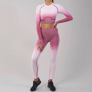 Gymshark Ombré Seamless Set